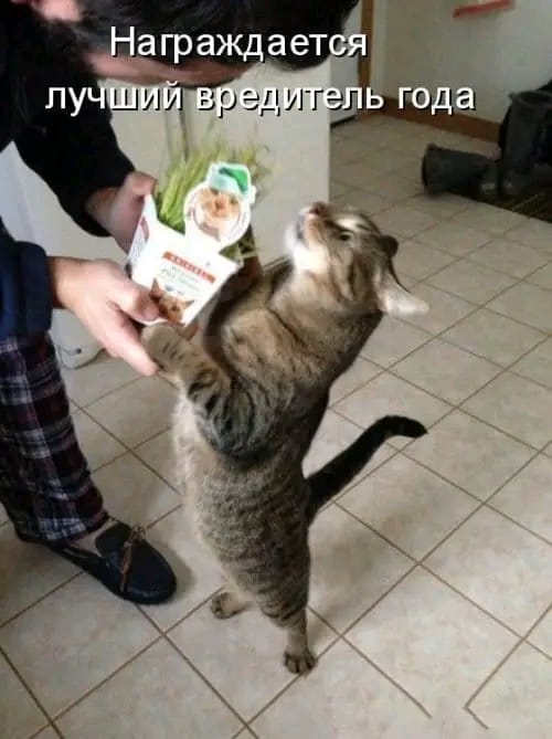 Всего понемногу. От 04.03.24