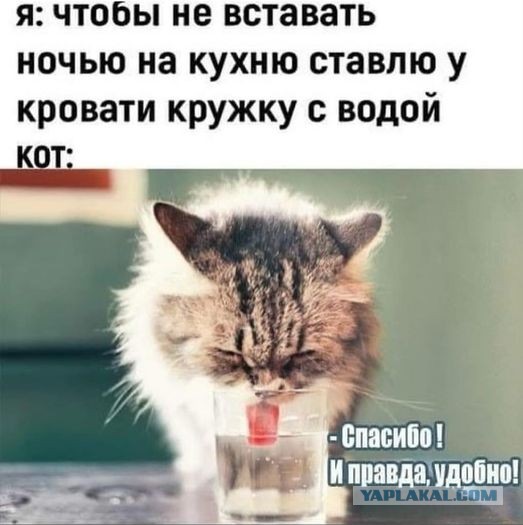 Картинки и буквы 24.06.2024