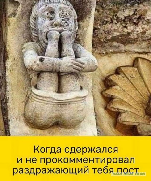 Немного картинок натыренных в ТГ