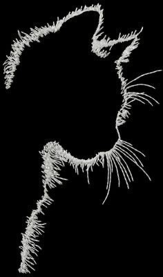 Котоштрих