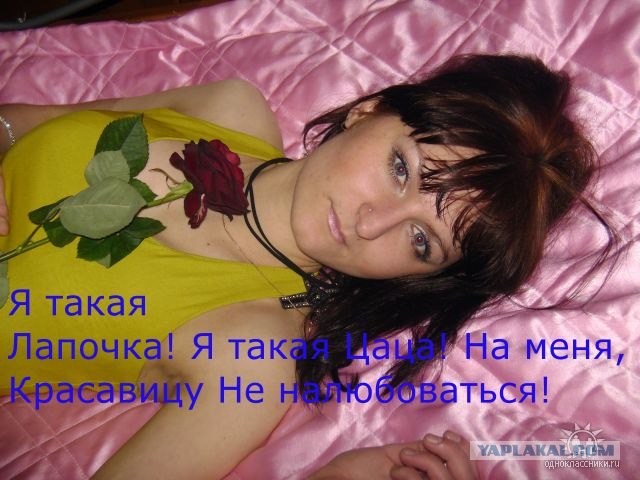 Дикие фото из социальных сетей