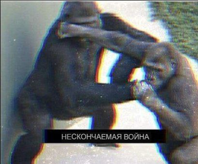 Массовым побоищем закончился турнир по ММА в Дагестане