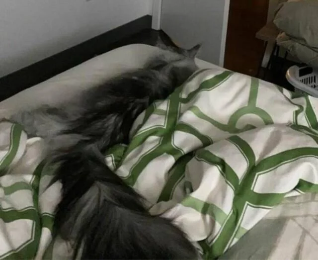 Неоднозначные фото на которые придется взглянуть дважды