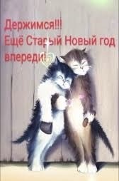 Прикольные и просто красивые картинки 10.01.2025