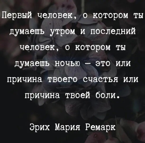 Весёлые картинки