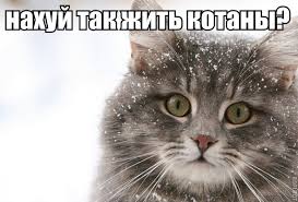 Странные привычки в процессе еды