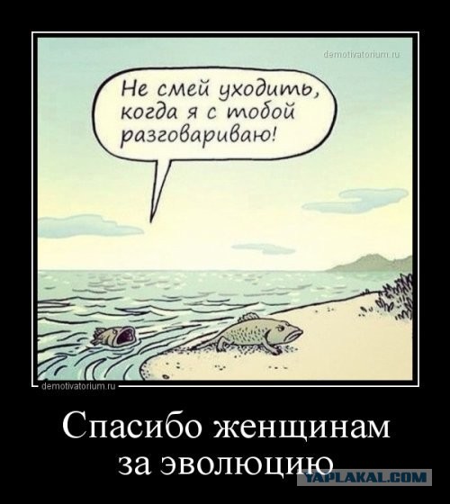 Ну как тут не вспомнить?