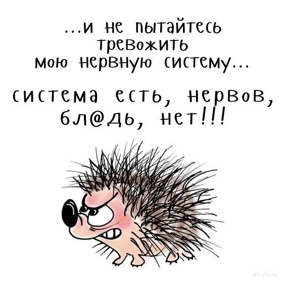 Завалялось тут случайно немного забавных картинок
