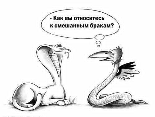 Маленькая пятница