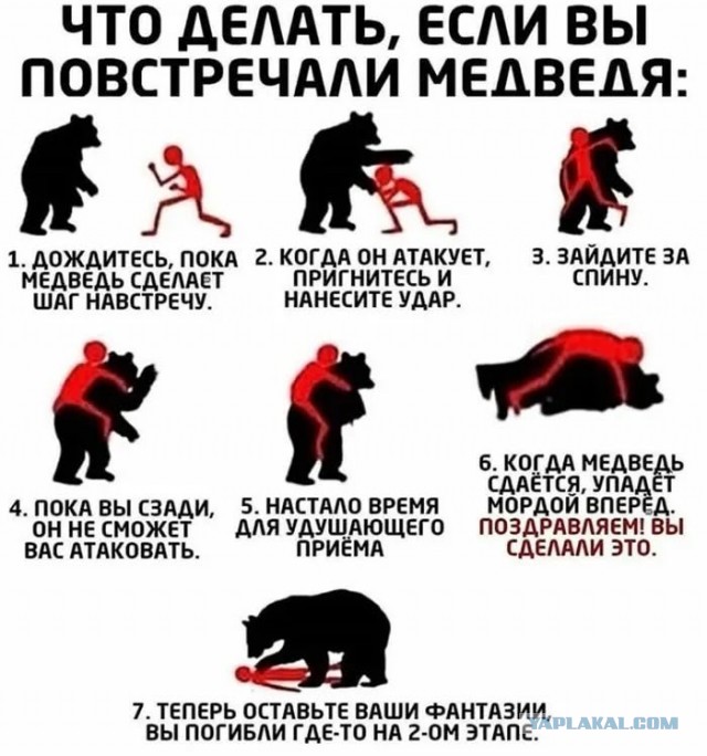 Что делать если на вас напала стая собак.