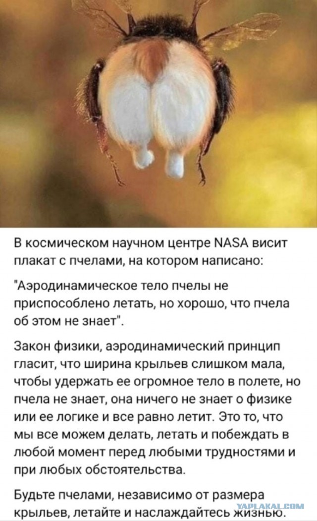 Так себе картинки 02.11.25