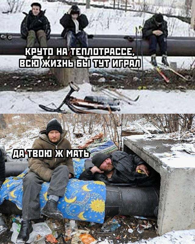 Мужская берлога