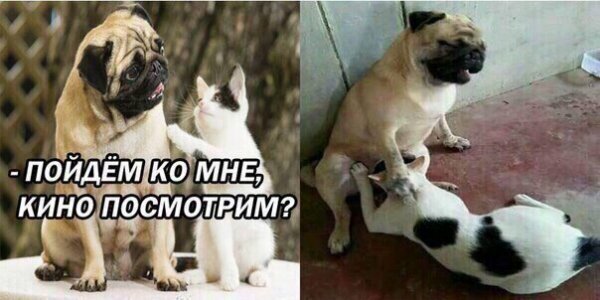 Картинки про отношения М и Ж