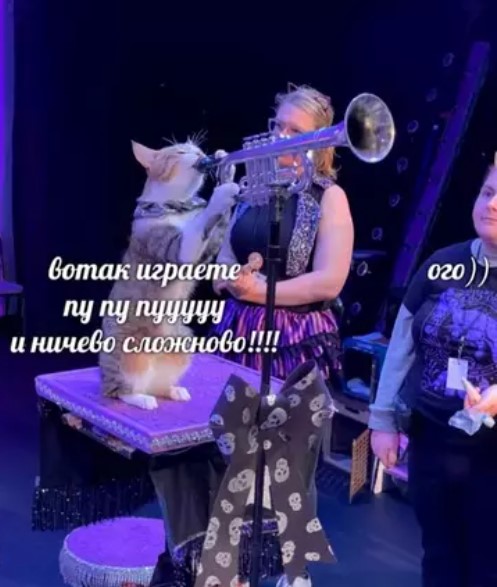 Картиночки, баянчики 27 марта