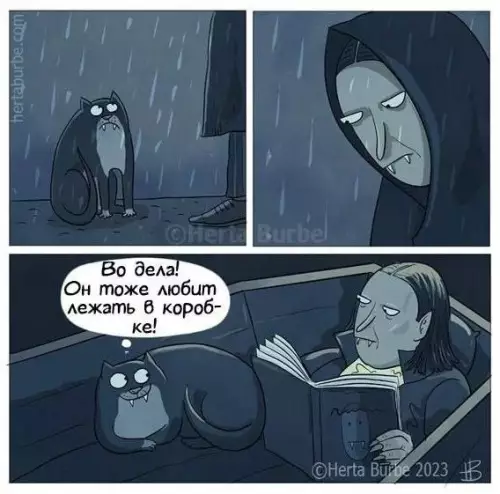 К котовторнику: подборка картинок-баянов с котиками и про котиков. Выпуск 33..