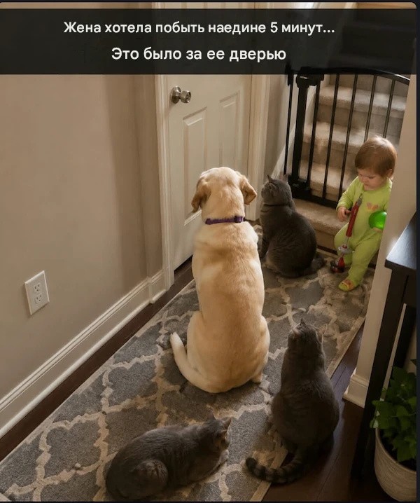 Мемы 30 штук к понедельнику