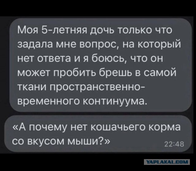 Картинки для деградации 296 (разной степени свежести)