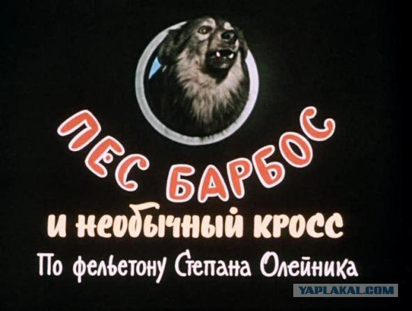 Тихая звезда Георгия Михайловича Вицина