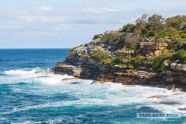 Австралия: Сидней и его окрестности