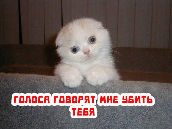 Не про олимпиаду