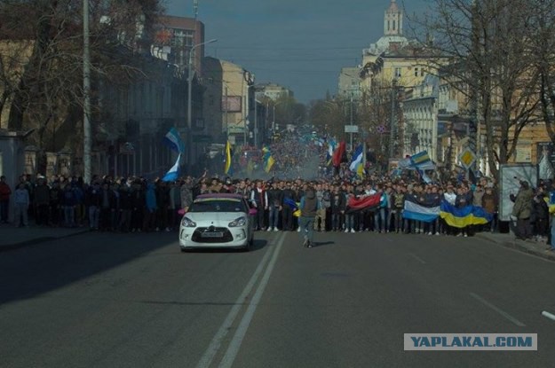 И снова сербы, в поддержку России.