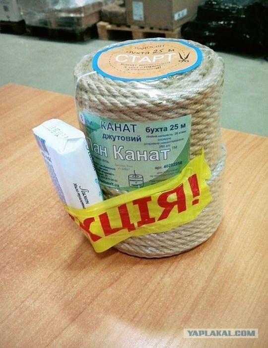 Картинки