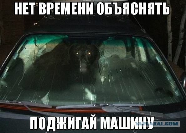 Владелец Мерседеса во всем винит завистников