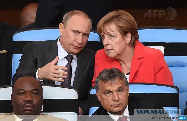 Путин пьет чай с Меркель, Укропы негодуэ