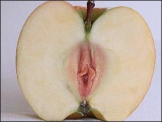 Плюсомет со шпалометом