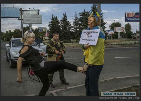 Ну просят раздать друзьям и знакомым