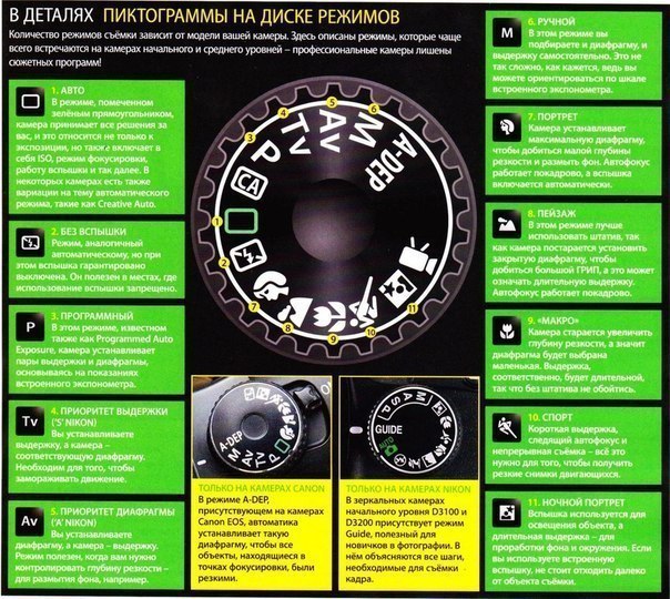 Шпаргалка для начинающих фотографов
