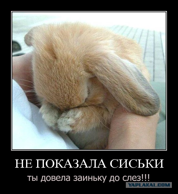 Посоны - что-то я залип...