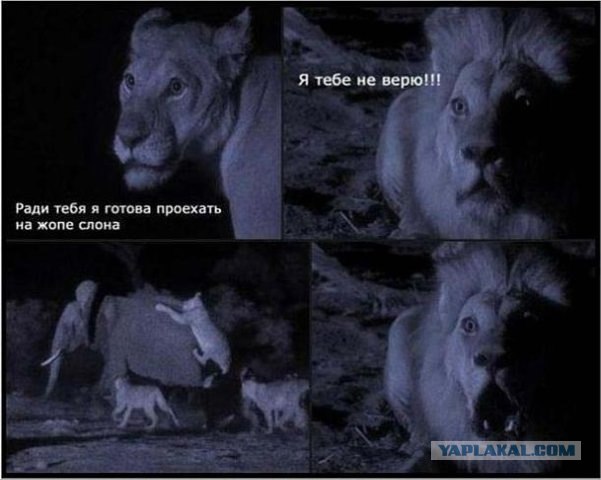 "Гидростатический" парадокс.