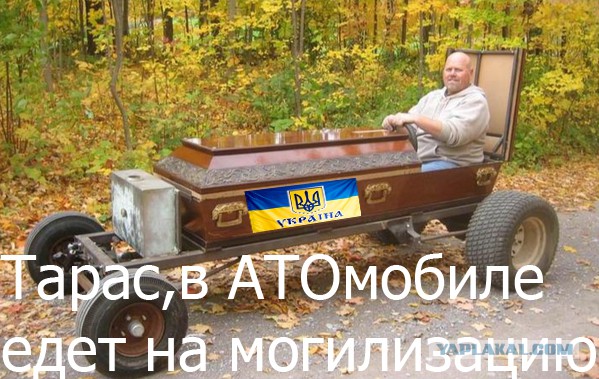 Мыздобулы в картинках