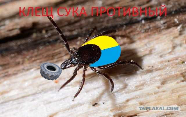 Есть только ты и я...