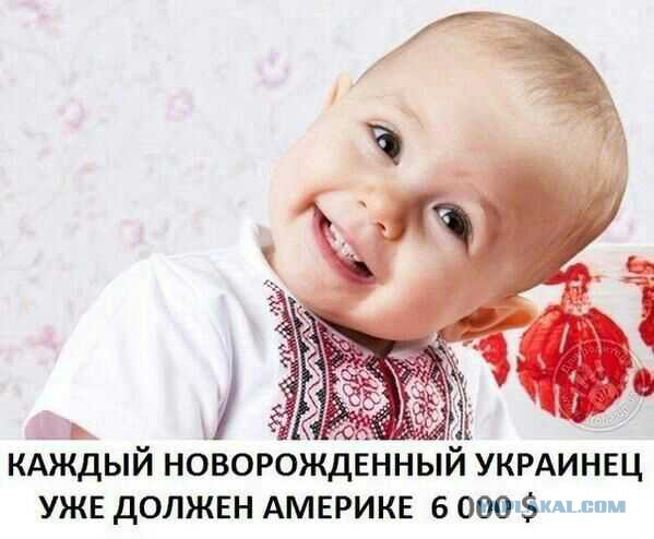 Америка - красивая страна, жаль досталась дуракам!