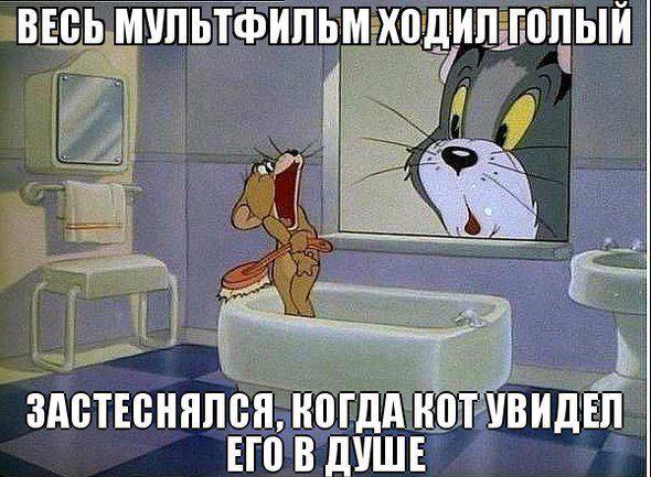 Забавные картинки из Сети