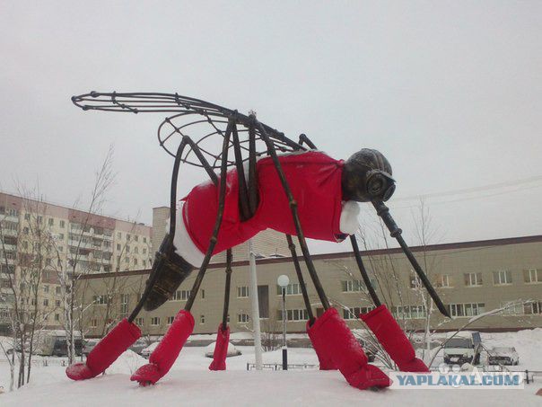 Комары по трассе Хабаровск Комсомольск