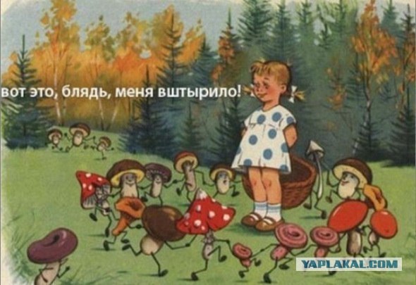 Интересно, выжил ли?