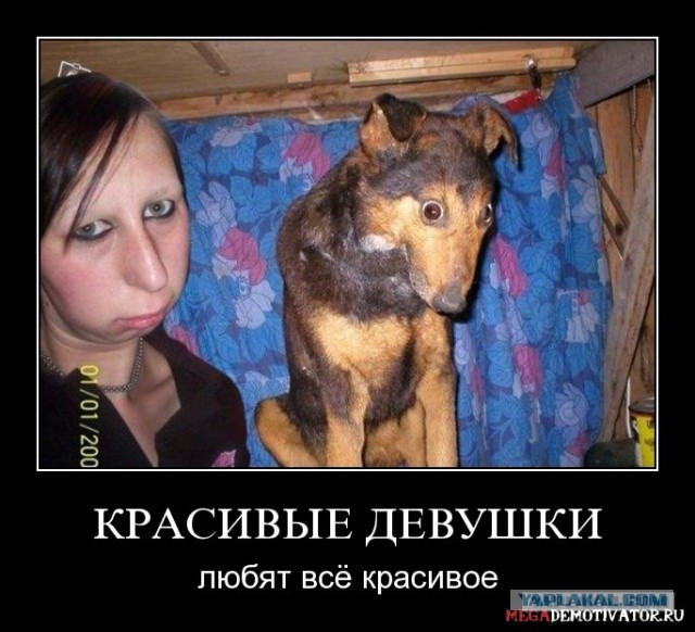 Вы хотите "демов"?