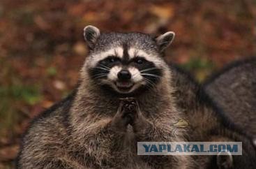 Закон кармы.