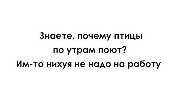 Картинки,ужасы,приколы из интернета,и соц.сетей