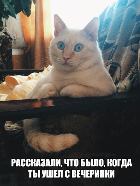 Картинки и демотиваторы