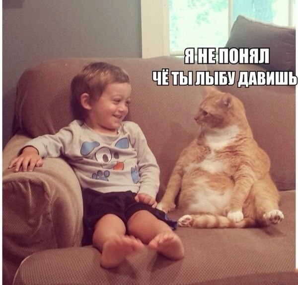 Немного картинок