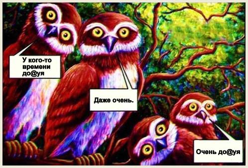 Я украду 15 минут вашего времени..