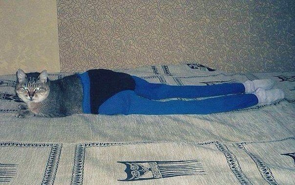 Ужасы и приколы из соцсетей 18+