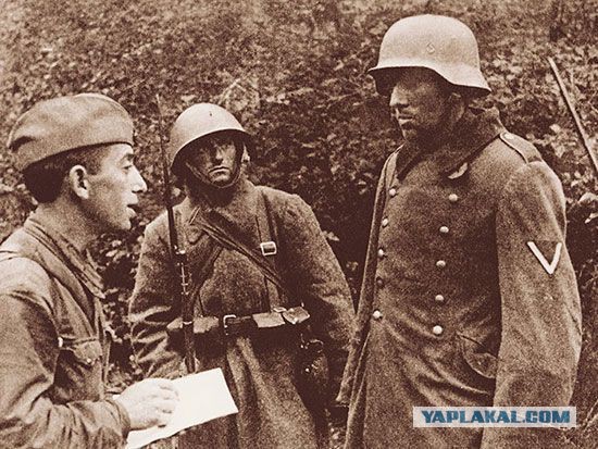 Фотографии с войны