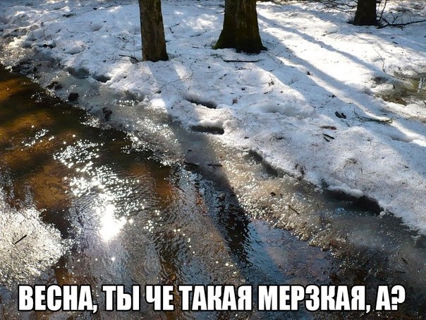 Подборка красивых картинок