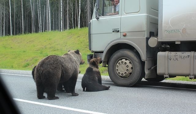 Автоюмор