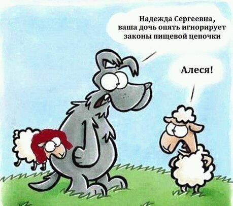 Всякие картинки из ваших энторнетов